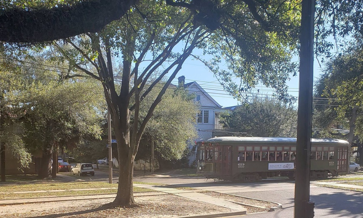 Leonidas House | 19th Century House on Street Car Line near Tulane University