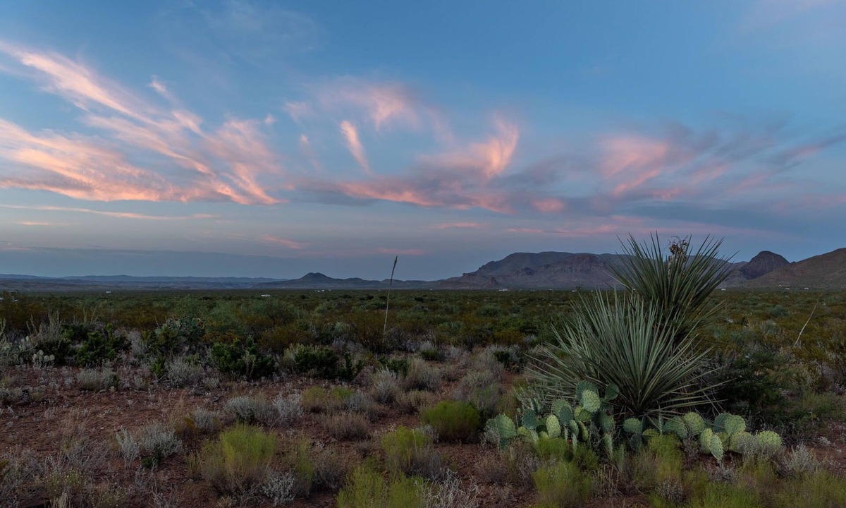 Brewster County House | ALMA RANCH ~ ALMA 1~