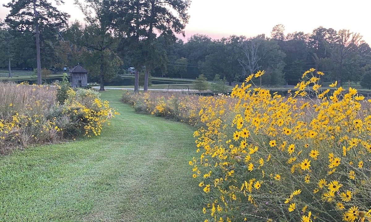 Pineville House | Buster's Barn at Grant Farm
