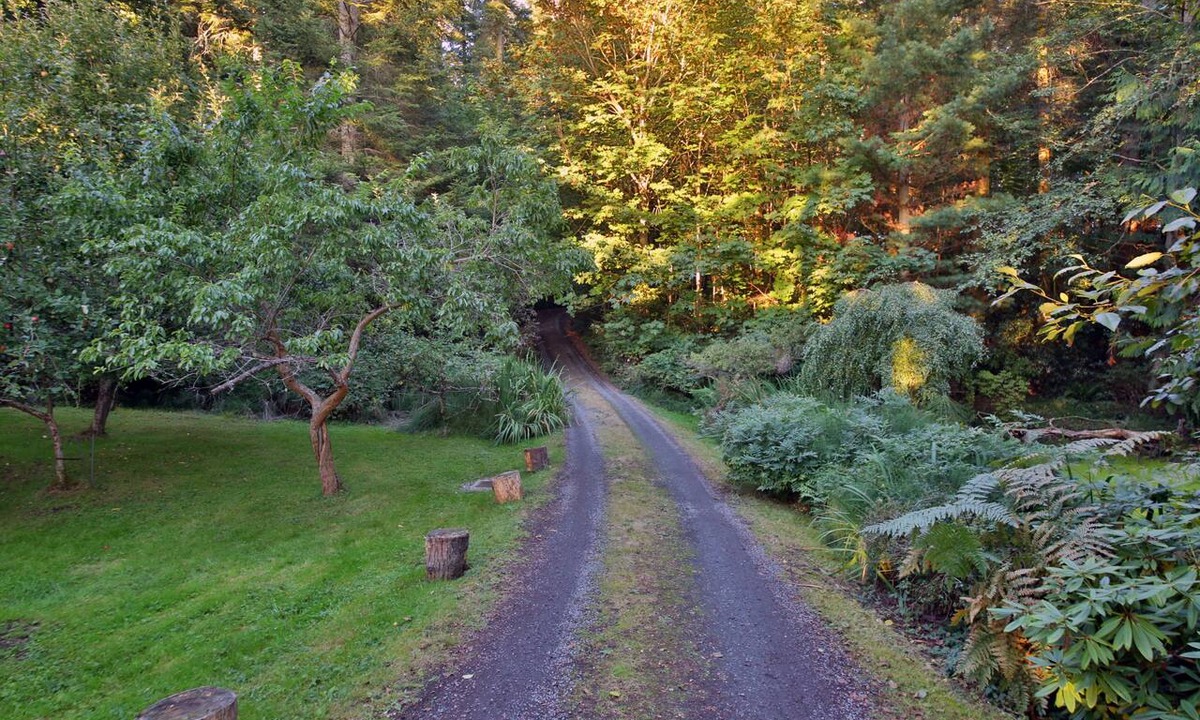 Freeland Cottage | Charming Waterfront Cottage-NO CLEANING FEE-Water, Mountain & Sunset View