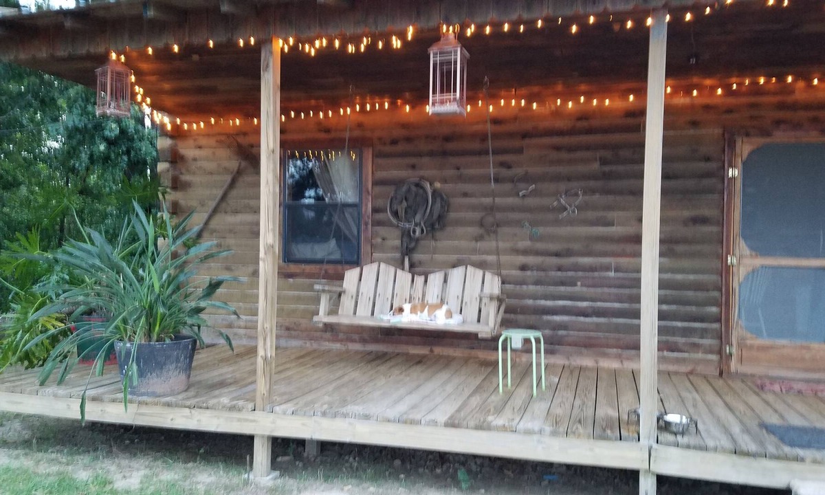 Antlers Cabin | Cozy 2 rm pet friendly cabin- private lake - fishing & swimming - CowboyCabin