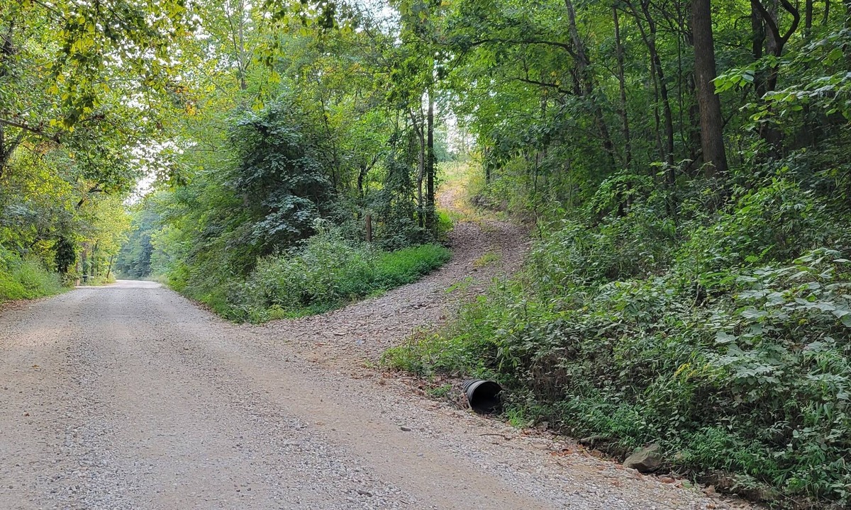 Elkins Cabin | Cozy cabin 16 miles from Razorback Stadium great for game weekends. No pets.
