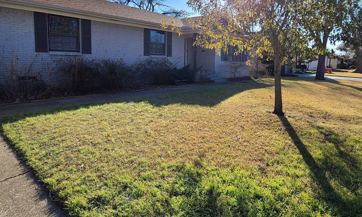 White Rock Hills House | Downtown Dallas, hike and bike, easy commute, White Rock lake, Arboretum,