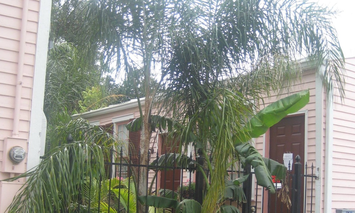 Carrollton Cottage | PEARL ST. GUEST COTTAGE OFF ST. CHARLES,30 NT. MIN.