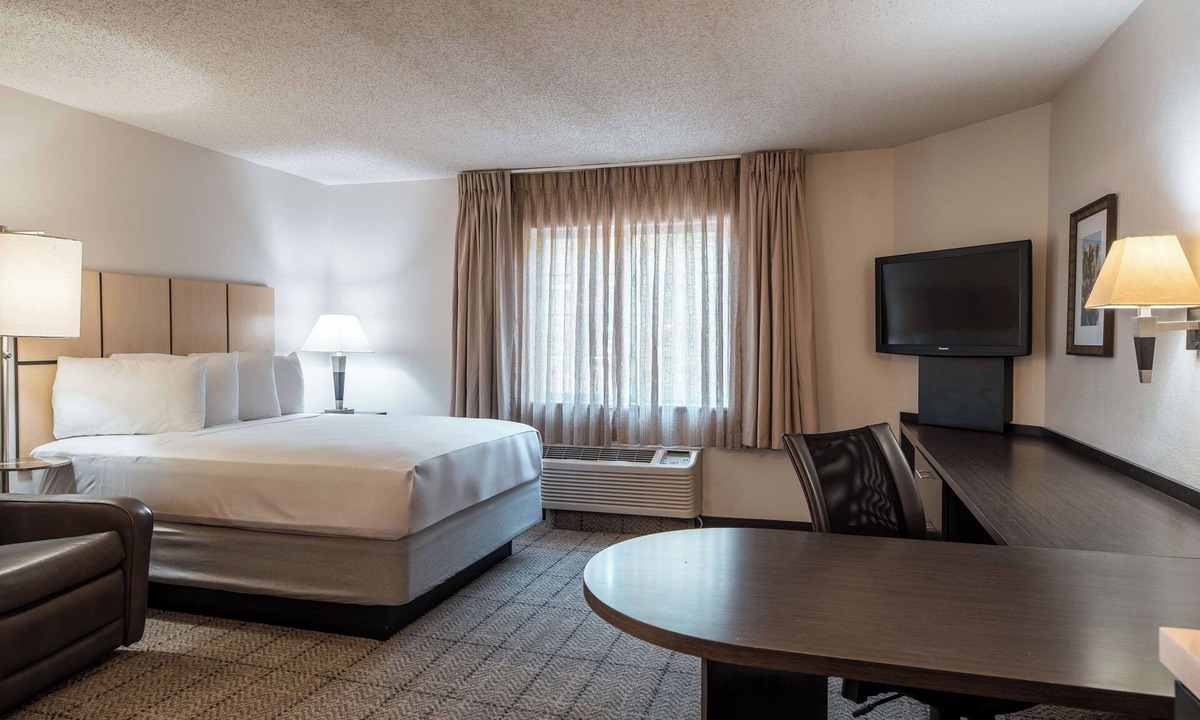 Fossil Creek Apartment | Queen Bed Suite | Pet Friendly | Free Parking
