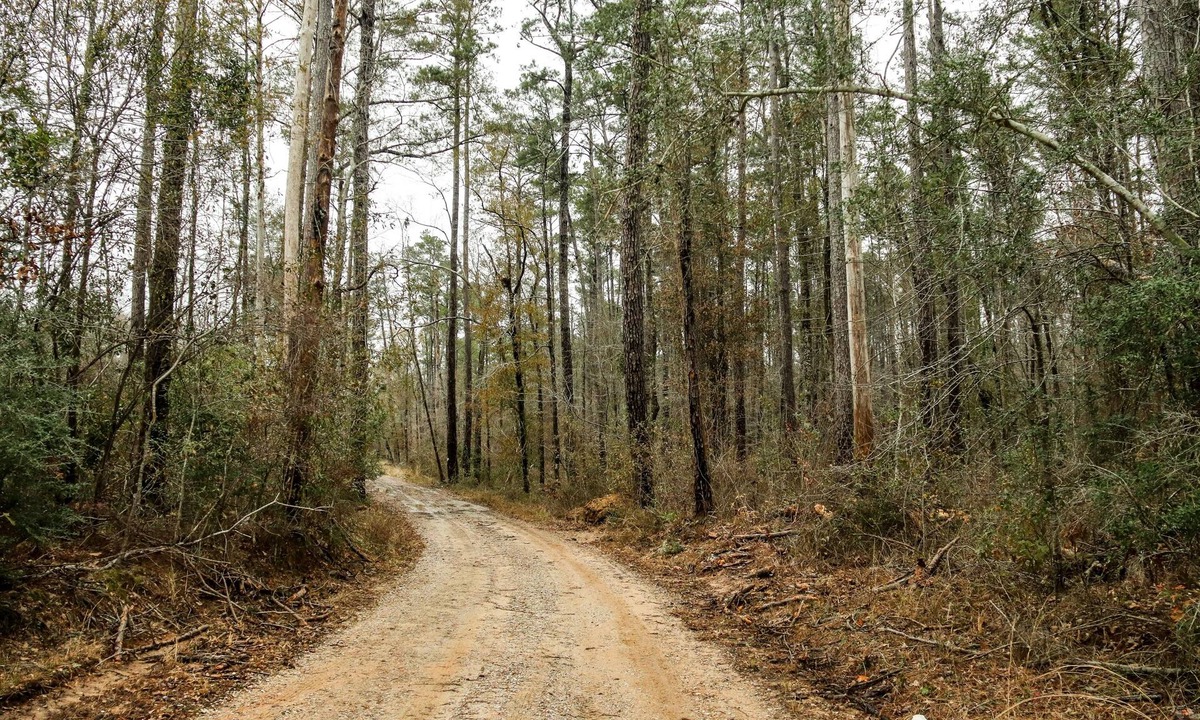 Mittie RV Rental | RV Slot Only with WiFi in charming Mittie. Near Kinder. Hunting and Fishing.