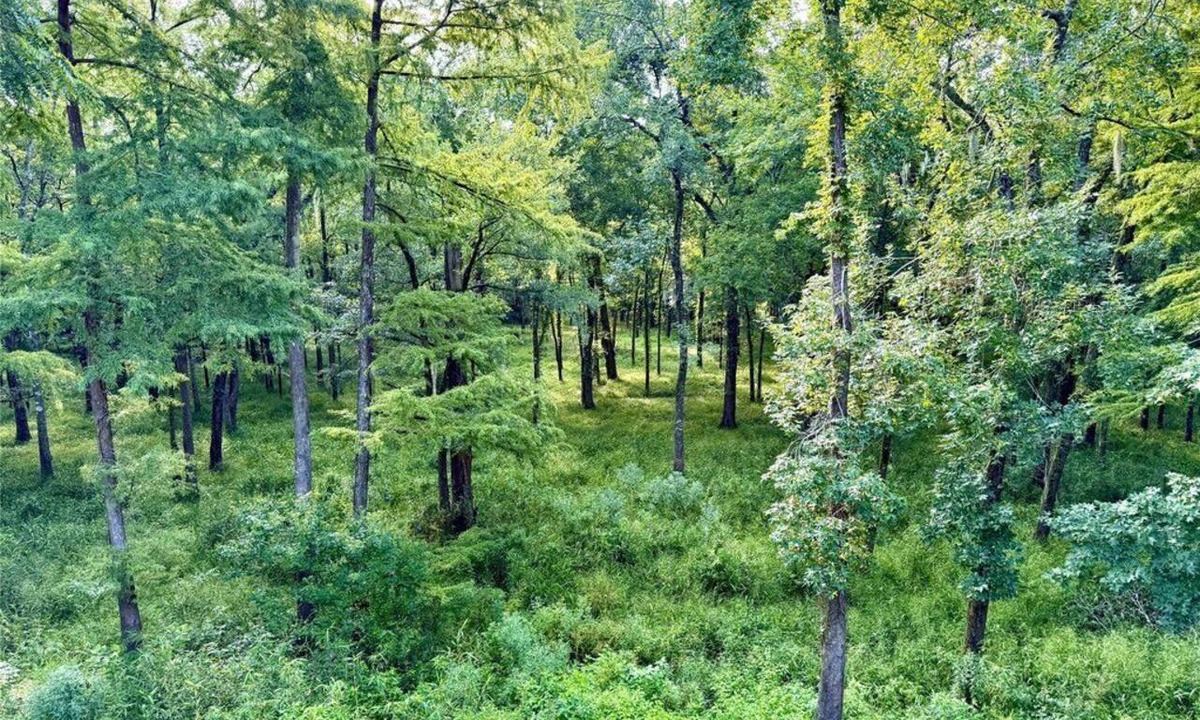 Hull Cabin | Sky Dreams Ranch, 46-Acre Riverfront Lodge, Sleeps 14
