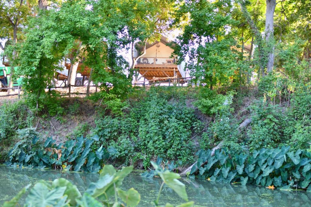 Sutherland Springs House | Son's Rio Cibolo Birdhouse Cabin #22 Brand New Cabins Overlooking Beautiful Spring Fed Creek!