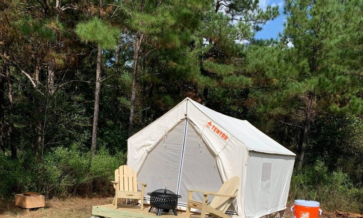 Pennington RV Rental | Tentrr Signature Site - HFR Campsite in the Davey Crockett National Forest #3