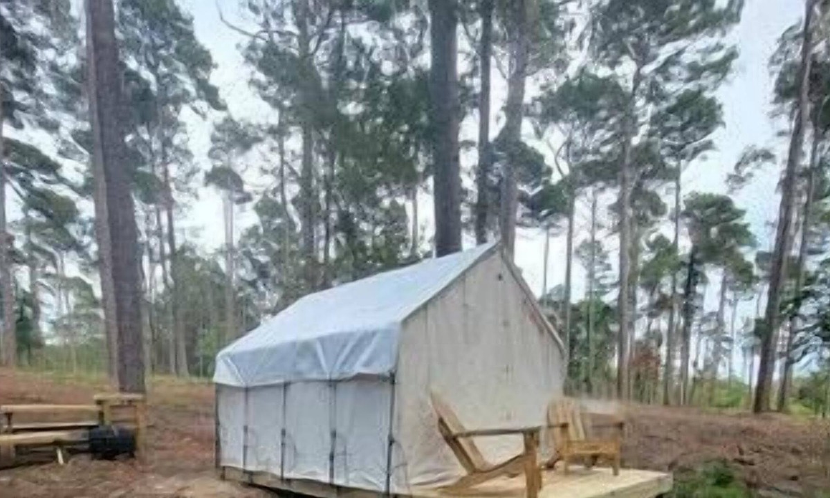 Zwolle RV Rental | Tentrr State Park Site - Louisiana North Toledo Bend State Park - Lakeview D - S