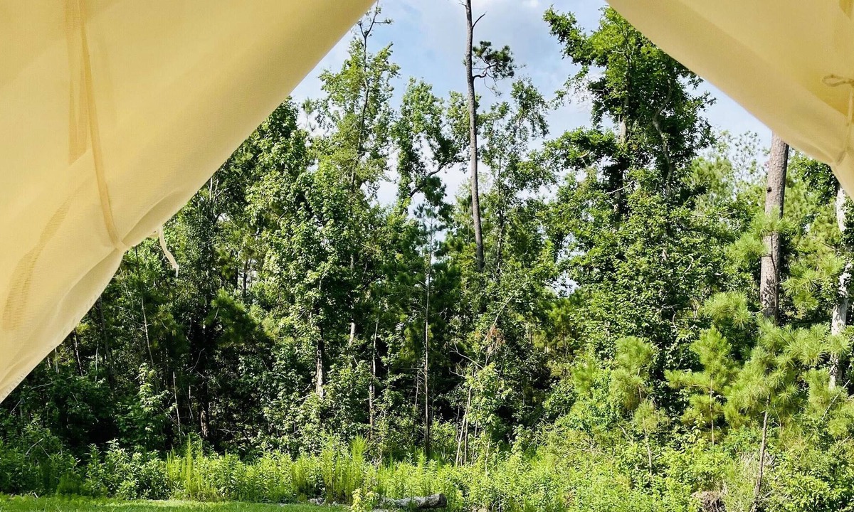 Lake Charles RV Rental | Tentrr State Park Site - Louisiana Sam Houston Jones State Park - Woodland I Sin