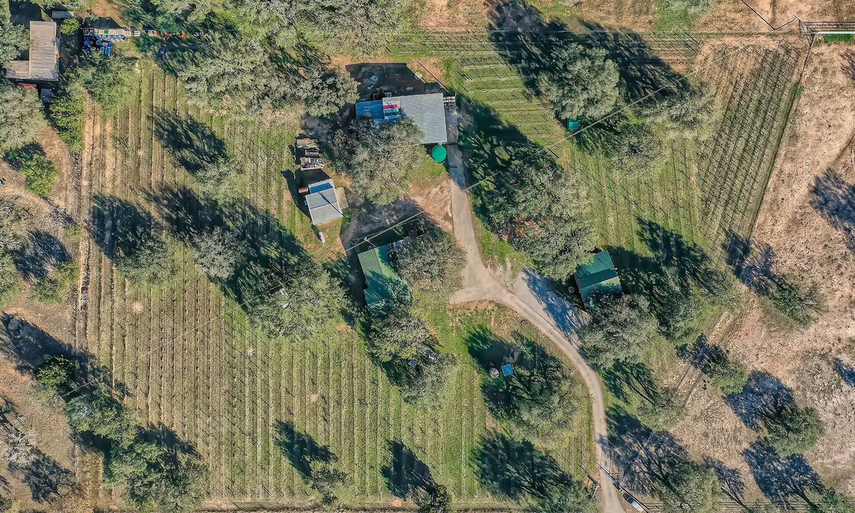 Round Mountain Other | Wine Country Compound - Former Winery - Sleeps 21 - Pet Friendly