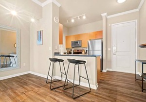 Spacious Apartment In Beautiful Uptown Dallas!