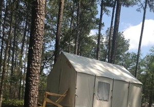Tentrr State Park Site - Louisiana Bogue Chitto State Park - Upland A - Single C
