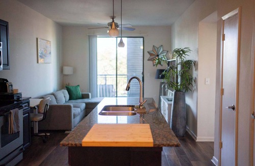 North Burnet Apartment | 1BR Oasis/Balenciaga Domain Building