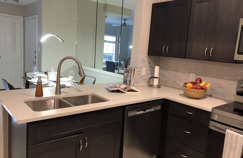 Astrodome Condo | 1st Floor Master brm Apt at Gated Community