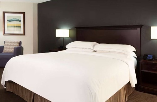 Nassau Bay Hotel | 2 Units to stay near Space Center Houston – the perfect spot for families
