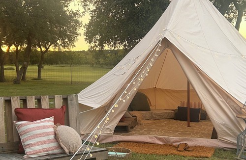 Driftwood House | 5-Star Comfort Under 5 Billion Stars-Hill Country Escape