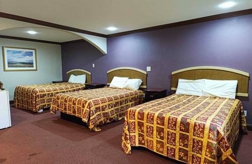 Victoria Hotel | American Inn & Suites By Capital O Victoria US-59