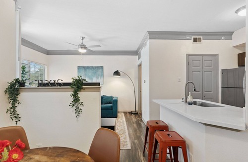 North Burnet Apartment | Beautiful 1BR Next to The Domain f6k2