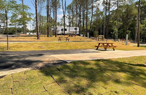 Mount Vernon Cabin | Beautiful Cabin Located in the Piney Woods of East Texas - 1 Bedroom/Double Loft