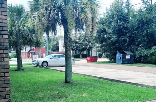 Mid City South Apartment | Boutique Style 2 Bdrm Apt offering Any & All of a Traveler's Needs