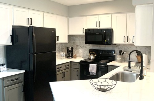 Astrodome Apartment | Brand New 1BR in the heart of Houston Med Center