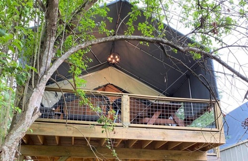 Sutherland Springs Cabin | Brand new waterfront Cabin with many amenities: Pool, hot tub & kayaking. - RC11