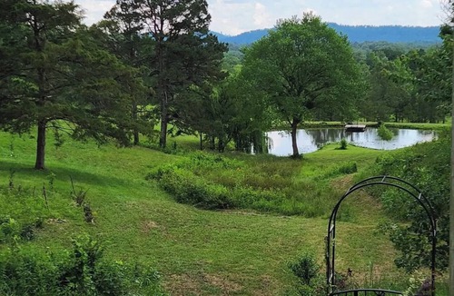 Oden RV Rental | Brookside Tent Site #4 at Ouachita Campground at Edendell