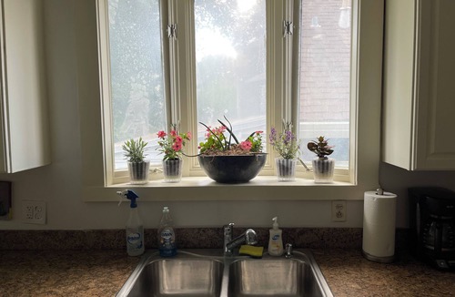 Audubon House | Charming 4-bedroom house with WiFi and AC in fantastic New Orleans