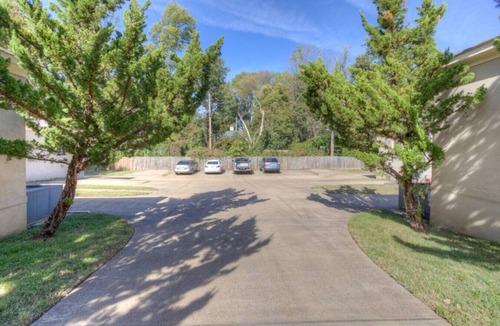 Midtown Apartment | Charming Flat | Walk to Overton | Free Parking