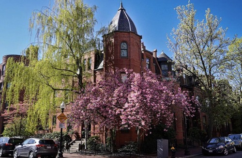 Prudential - St. Botolph Apartment | Charming Studio Apt! | Back Bay