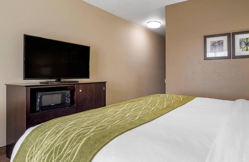 Scott Hotel | Comfort Inn & Suites Scott-West Lafayette