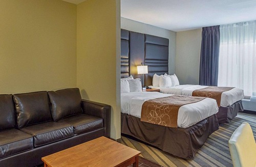 Gonzales Hotel | Comfort Suites near Tanger Outlet Mall