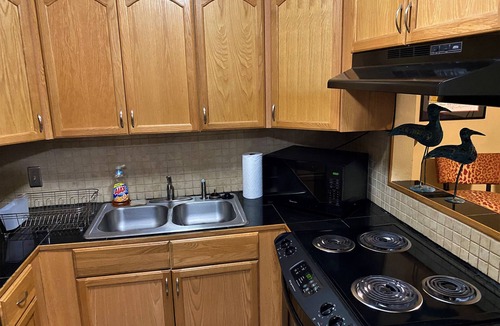 Beauregard Town Historic District Condo | Comfortable and Quiet Condo in Perfect LSU/Downtown Area