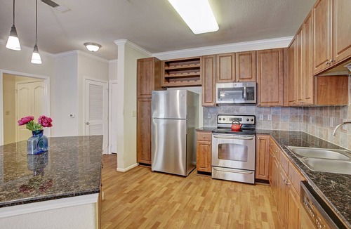 Texas Medical Center Condo | Condo Near Texas Med Center & NRG Stadium, Pet Friendly