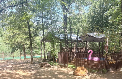 Valley View Cabin | Conestoga Wagon 2 -Wildlife Encounters and a Wild West Wagon!