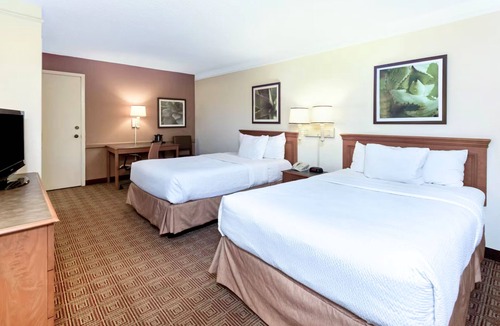 North San Antonio - SAT Hotel | Coratel Inn & Suites by Jasper Wonderland Deluxe 2 Double Bed NS