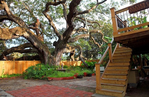 Jefferson Apartment | Cozy 2 Bedroom 1 Mile to Ochsner