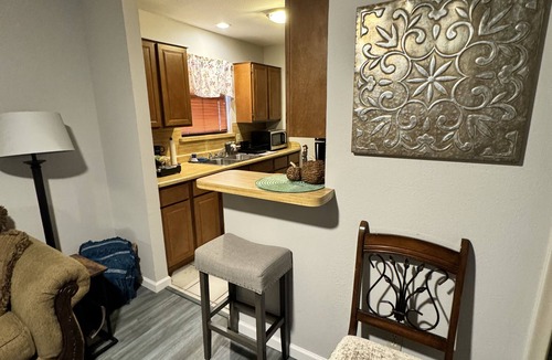 Southwest Carrollton Apartment | Cozy Work Retreat in North Dallas-Addison Area…Pet Friendly!