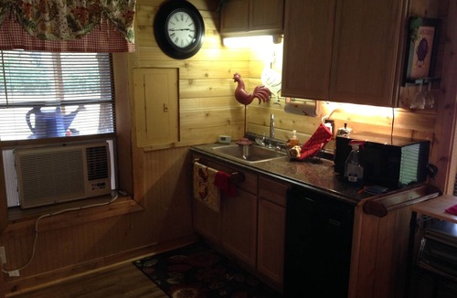 Roanoke Cabin | Family/Pet Friendly Country Cabin Firepit Minutes To DFW & Texas Motor Speedway