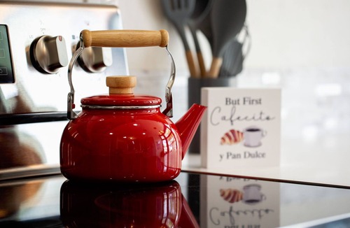 Great Northwest House | Fiesta Retreat w/Cowboy Pool by SeaWorld/Lackland, Dog Friendly