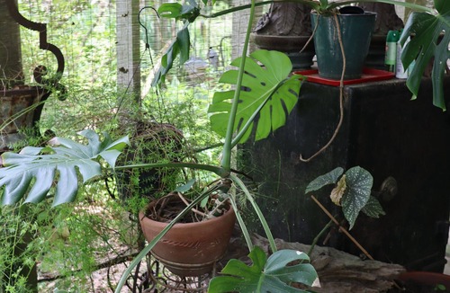 Opelousas House | ★ Folk Art Barn, Lrg Pvt 2 BR ★ Safe Getaway ★