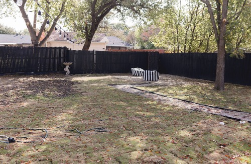 Mesquite House | Fully Renovated - 3 Bedroom House, Large backyard for pets!