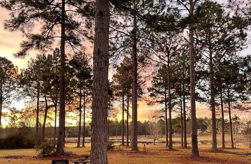 Poplarville Cabin | Getaway Cabin by the Water