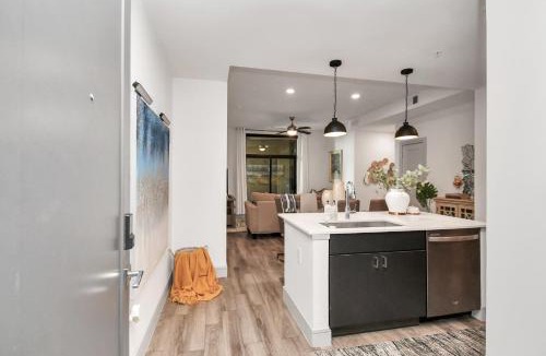 Braeswood Place Apartment | Haus of Blues-Walk to NRG Stadium-Med Center-Private Parking