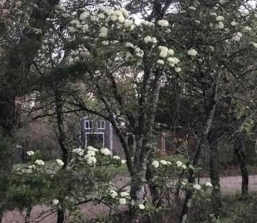 Weatherford House | Hidden Treasure Tiny Harvest House Forest Getaway 30 Min. West of Fort Worth