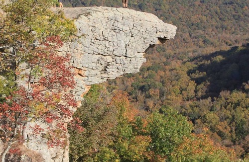 Pettigrew Cabin | Hiking, ATV riding, biking, rafting, cabin retreat!