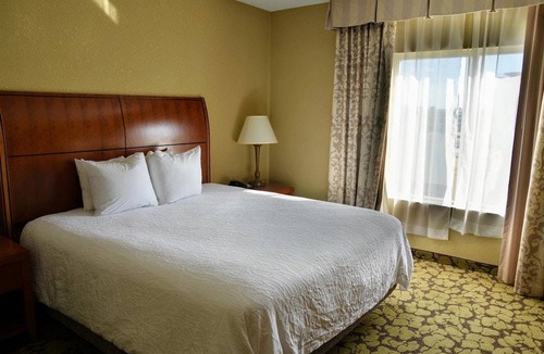 Hattiesburg Hotel | Hilton Garden Inn Hattiesburg 1 King Bed 1 Bedroom Suite
