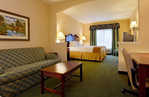 Southside Hotel | Holiday Inn Express Hotel & Suites San Antonio by IHG